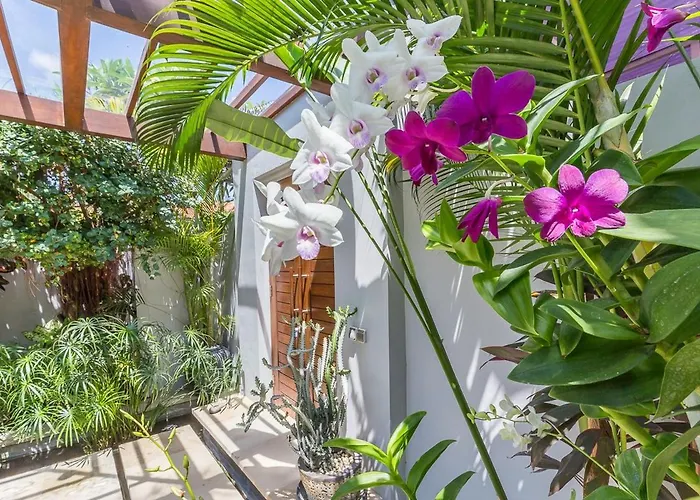 3br With Ac Living & 12m Pool * Seminyak